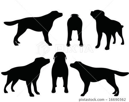 dog silhouette dog silhouette 16690362