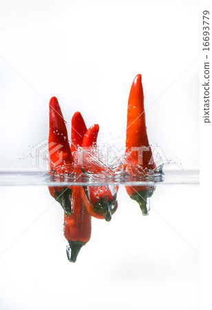 red pepperonchini plunging into water red pepperonchini plunging into water 16693779