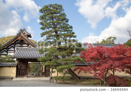 The college of the autumn leaves · Yamamono The college of the autumn leaves · Yamamono 16694894