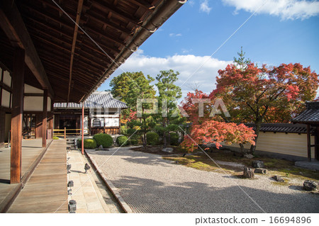 Colored leaves of autumn leaves · Hodokoro and rock garden Colored leaves of autumn leaves · Hodokoro and rock garden 16694896