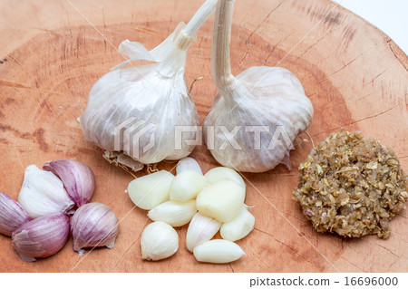 garlic 16696000