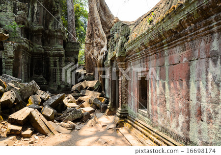 Ta Prohm Ta Prohm 16698174