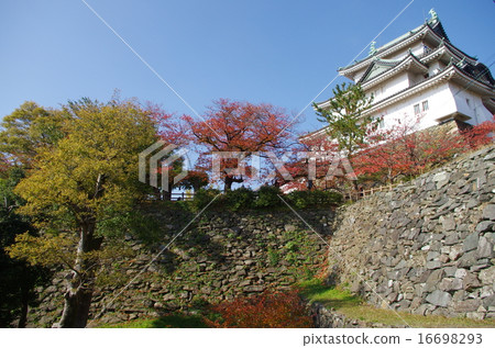 和歌山城02 和歌山城02 16698293
