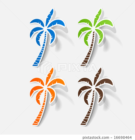 Realistic paper sticker: palm Realistic paper sticker: palm 16698464