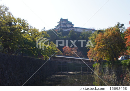 和歌山城21 16698468