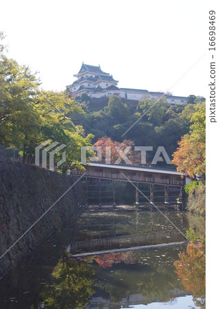 和歌山城堡22 和歌山城堡22 16698469