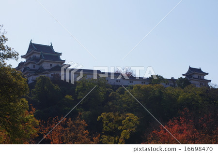 Wakayama castle 23 Wakayama castle 23 16698470