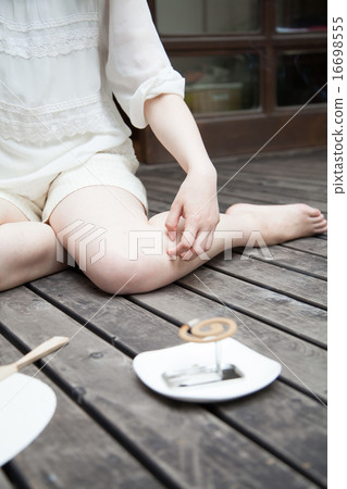 Insect bites Insect bites 16698555