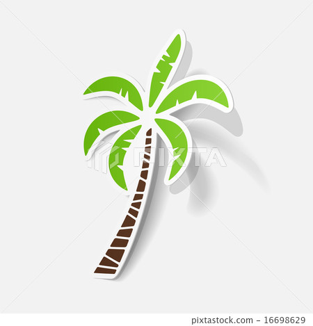 Realistic paper sticker: palm Realistic paper sticker: palm 16698629