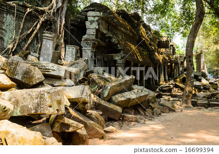 Ta Prohm Ta Prohm 16699394