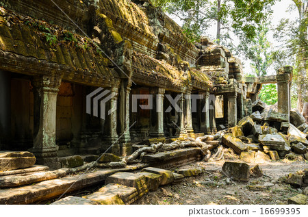 Ta Prohm Ta Prohm 16699395