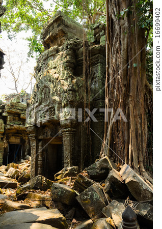 Ta Prohm Ta Prohm 16699402