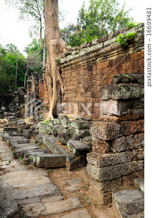 Preah Khan 16699481