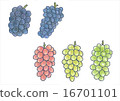 Grape (from the top left Pione · Kyoho · Kai Road · Rosario Bianco · Shine Muscat) 16701101