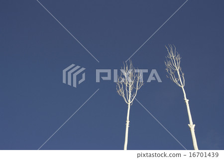 white trees on the clear blue sky background 16701439