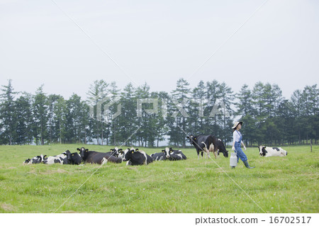 A woman working in a farm A woman working in a farm 16702517