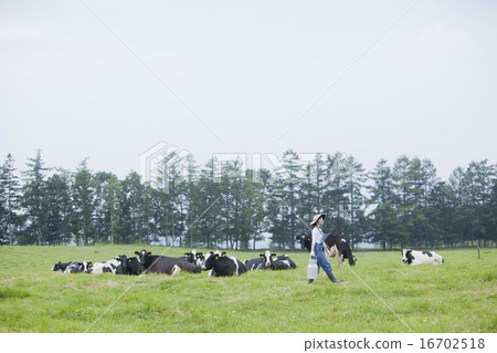 工作在農場的婦女 16702518