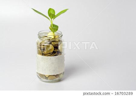 Plant and Gold Coins - Financial Concept Plant and Gold Coins - Financial Concept 16703289