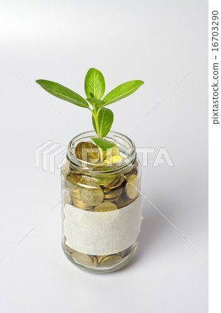 Plant and Gold Coins - Financial Concept Plant and Gold Coins - Financial Concept 16703290