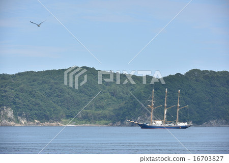 To the sailing ship Mirai To the sailing ship Mirai 16703827
