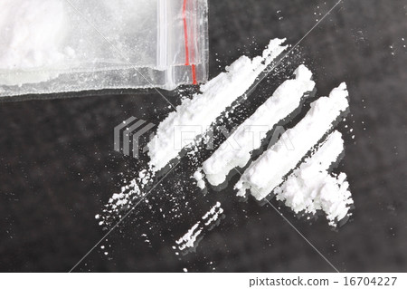 Cocaine powder in lines 16704227