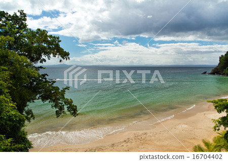 Samana beach 16704402