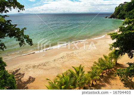 Samana resort beach Samana resort beach 16704403