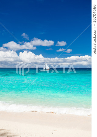 Beach with sailboat in ocean Beach with sailboat in ocean 16704566