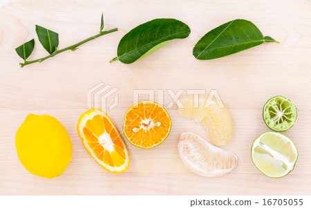 Mixed citruses fruit. Mixed citruses fruit. 16705055