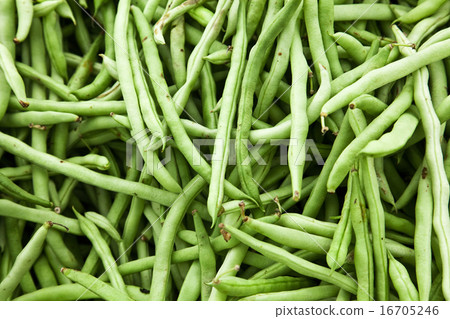 Green beans Green beans 16705246