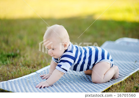 Crawling baby boy Crawling baby boy 16705560
