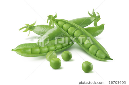 Green pea pods isolated on white background Green pea pods isolated on white background 16705603