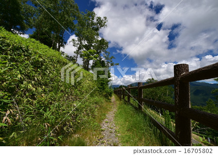 Summer Plateau 6 16705802