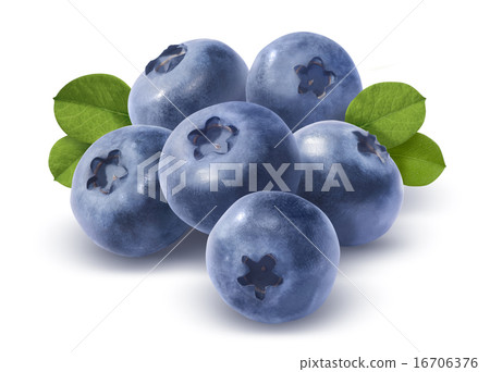 Big group blueberries isolated on white background 16706376