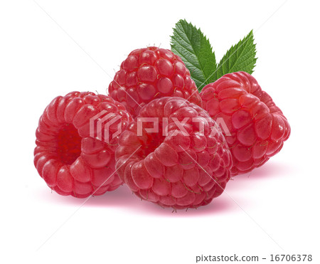 Four raspberries isolated on white background Four raspberries isolated on white background 16706378