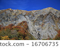Oyama, Kenzoro Fall Leaves and Airplane 16706735