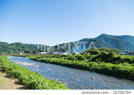 Clear current image 16706794