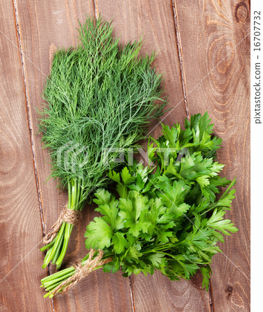 Fresh garden dill and parsley 16707732