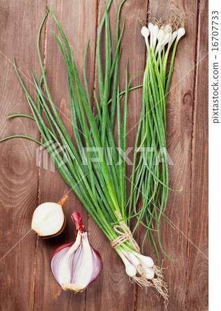 Fresh garden spring onion 16707733