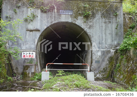 Nario Tsubasa 16708436