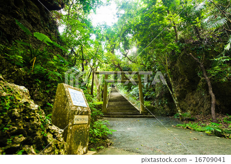 沖繩Hamahigajima Sirmitsu 沖繩Hamahigajima Sirmitsu 16709041