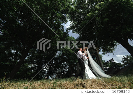 Bride and groom in the forest 16709343