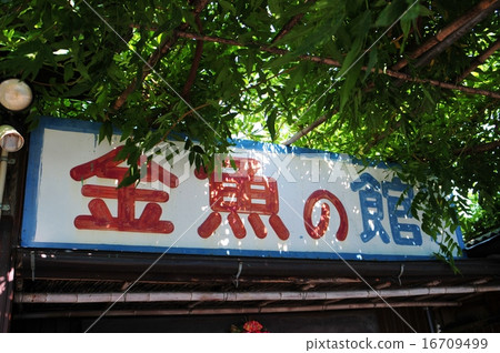 金魚城 金魚城 16709499