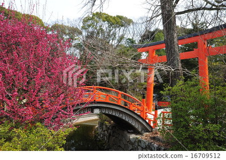 Kyoto Shimogami Shrine Koharu Meatsu Kyoto Shimogami Shrine Koharu Meatsu 16709512