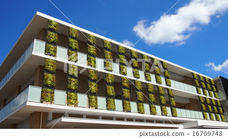 Greening Greening 16709748