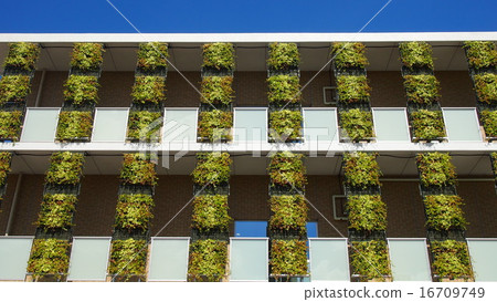 綠化 綠化 16709749