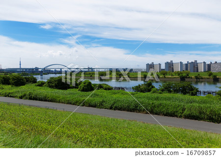 A residential area in the river where the blue sky spreads and the Goshiki Sakura Ohashi 16709857