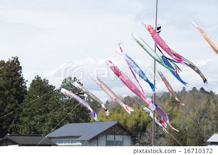 Carp streamer 16710372