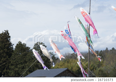 Carp streamer 16710373