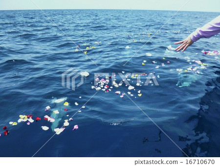 海洋散射風光 16710670